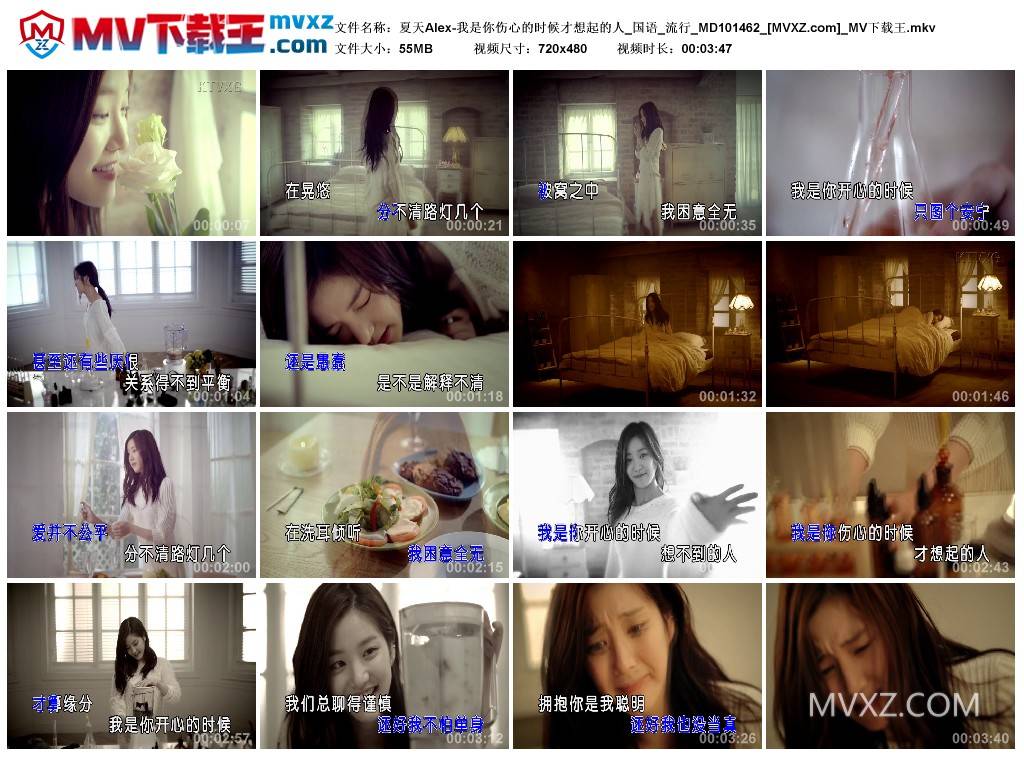 夏天Alex-我是你伤心的时候才想起的人_国语_流行_MD101462